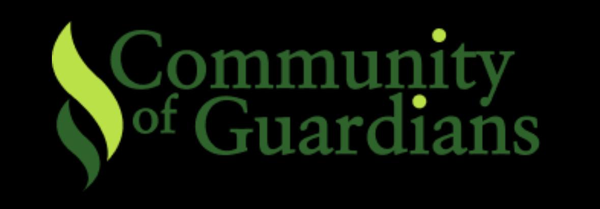 CMC Pro Bono Supports Business Planning and Strategic Coaching for Community of Guardians